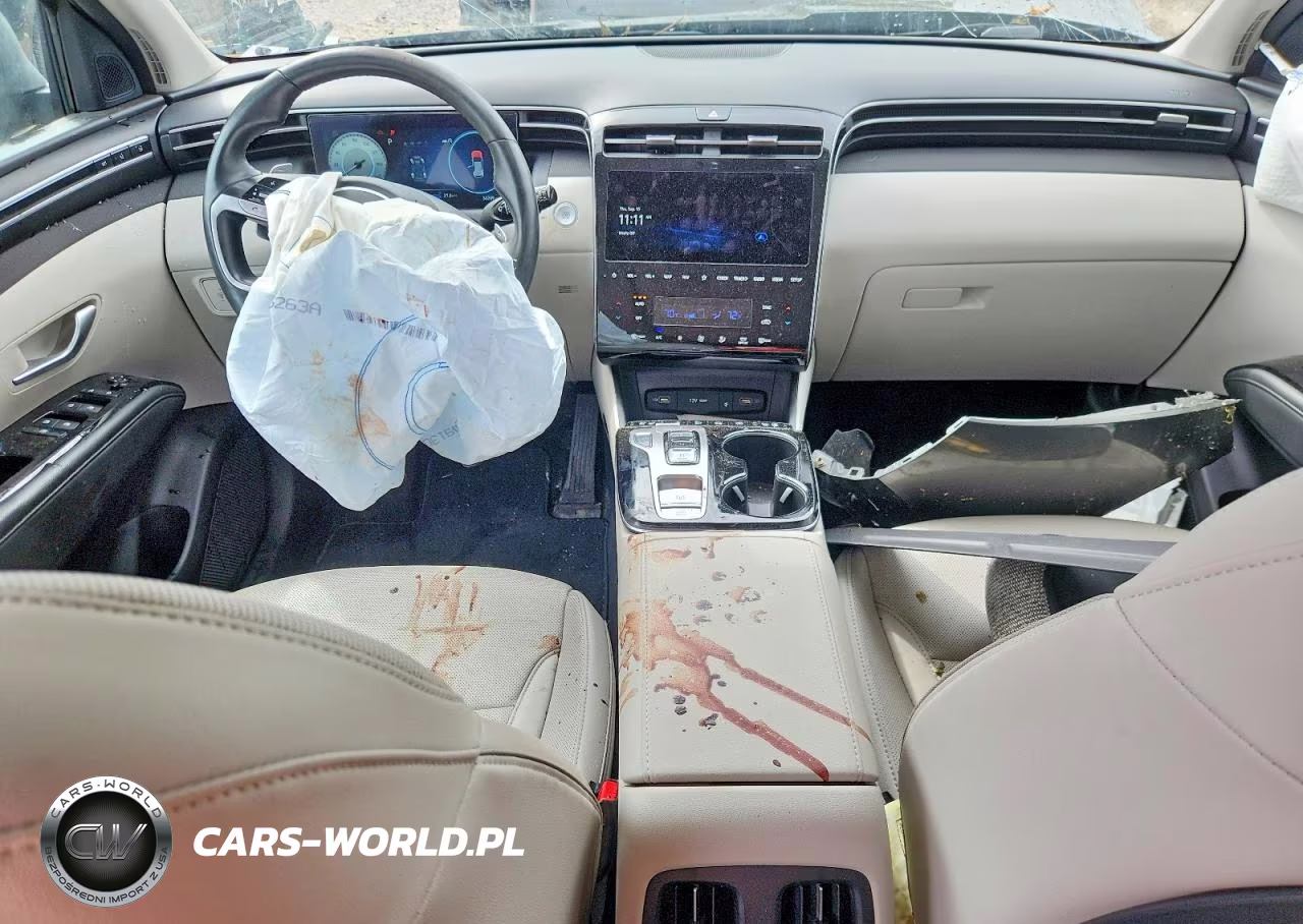 2023 Hyundai Tucson Limited VIN:5NMJECAE1PH246728 - 8