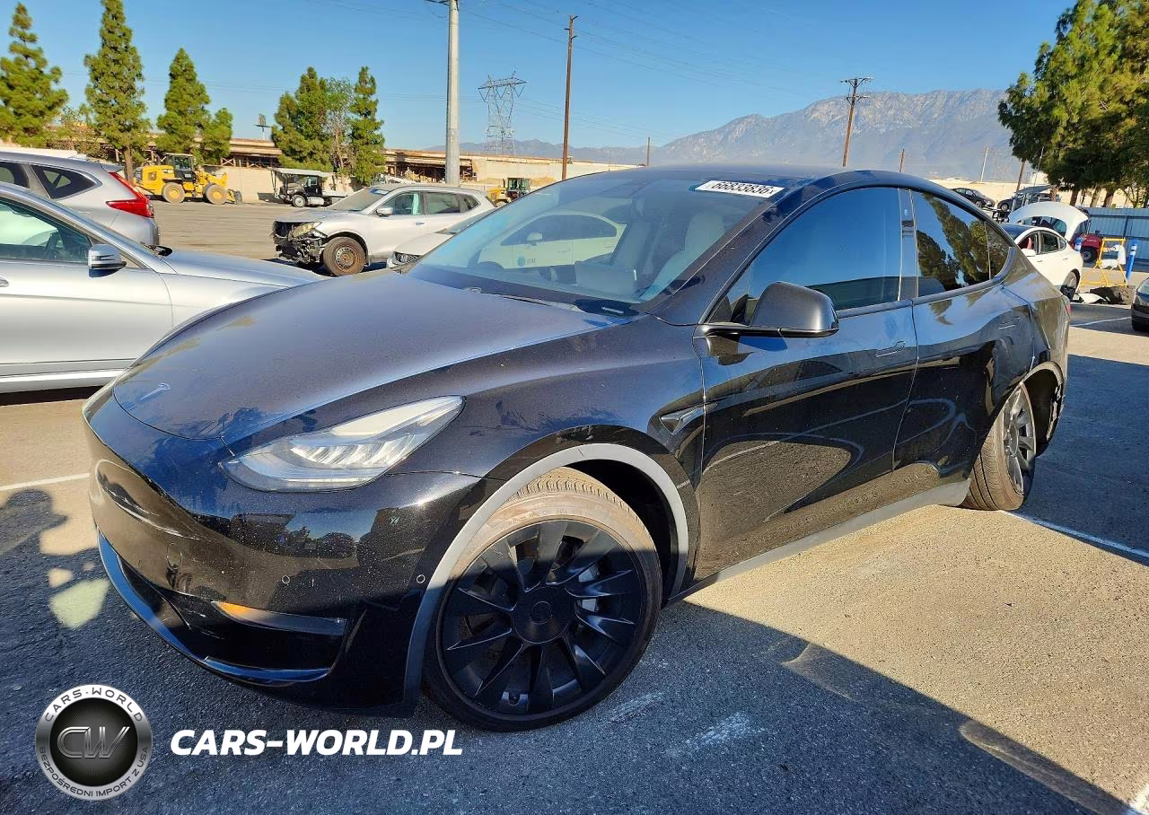 2020 Tesla Model Y