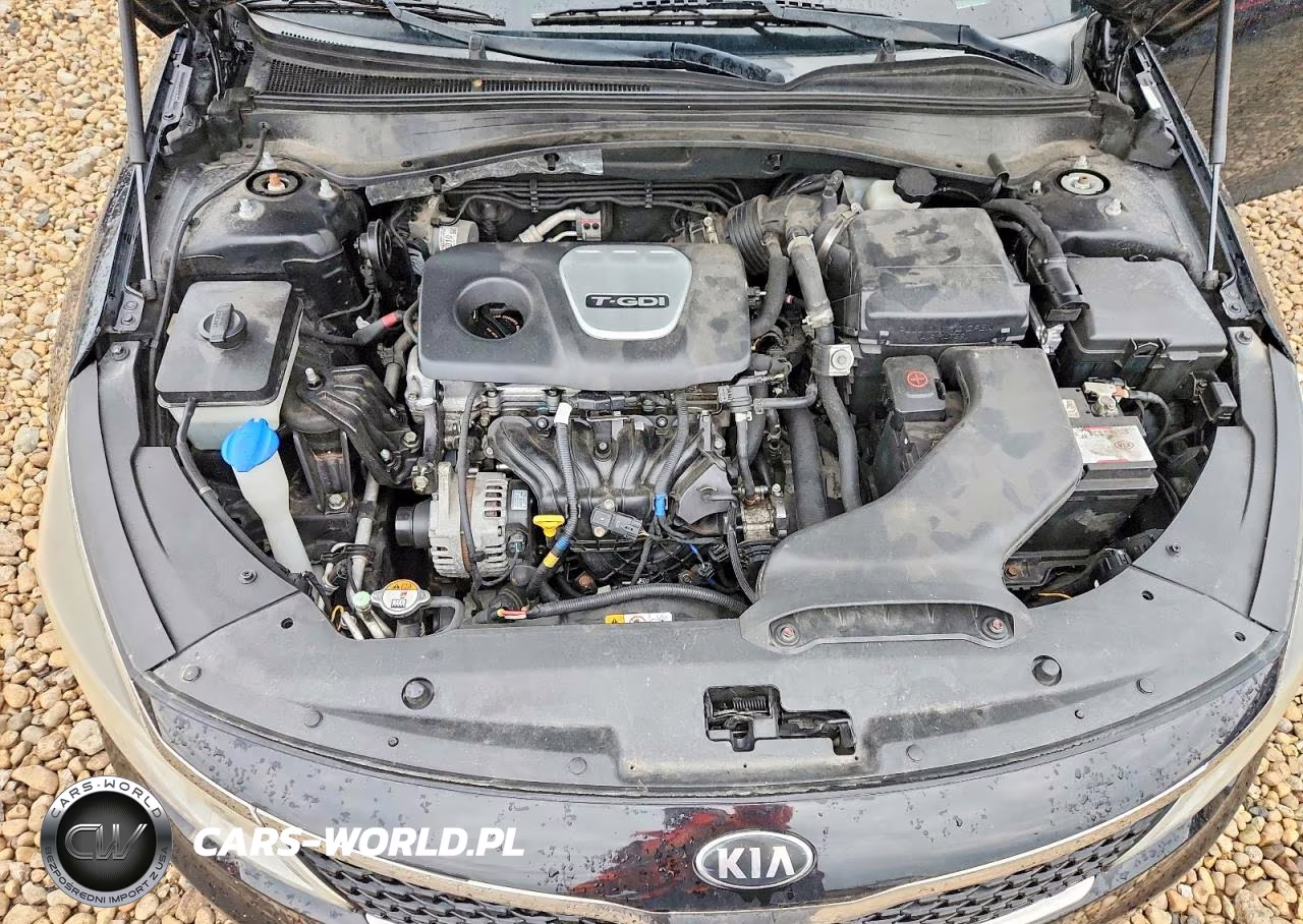 2016 Kia Optima Lx VIN:5XXGT4L16GG012308 - 11