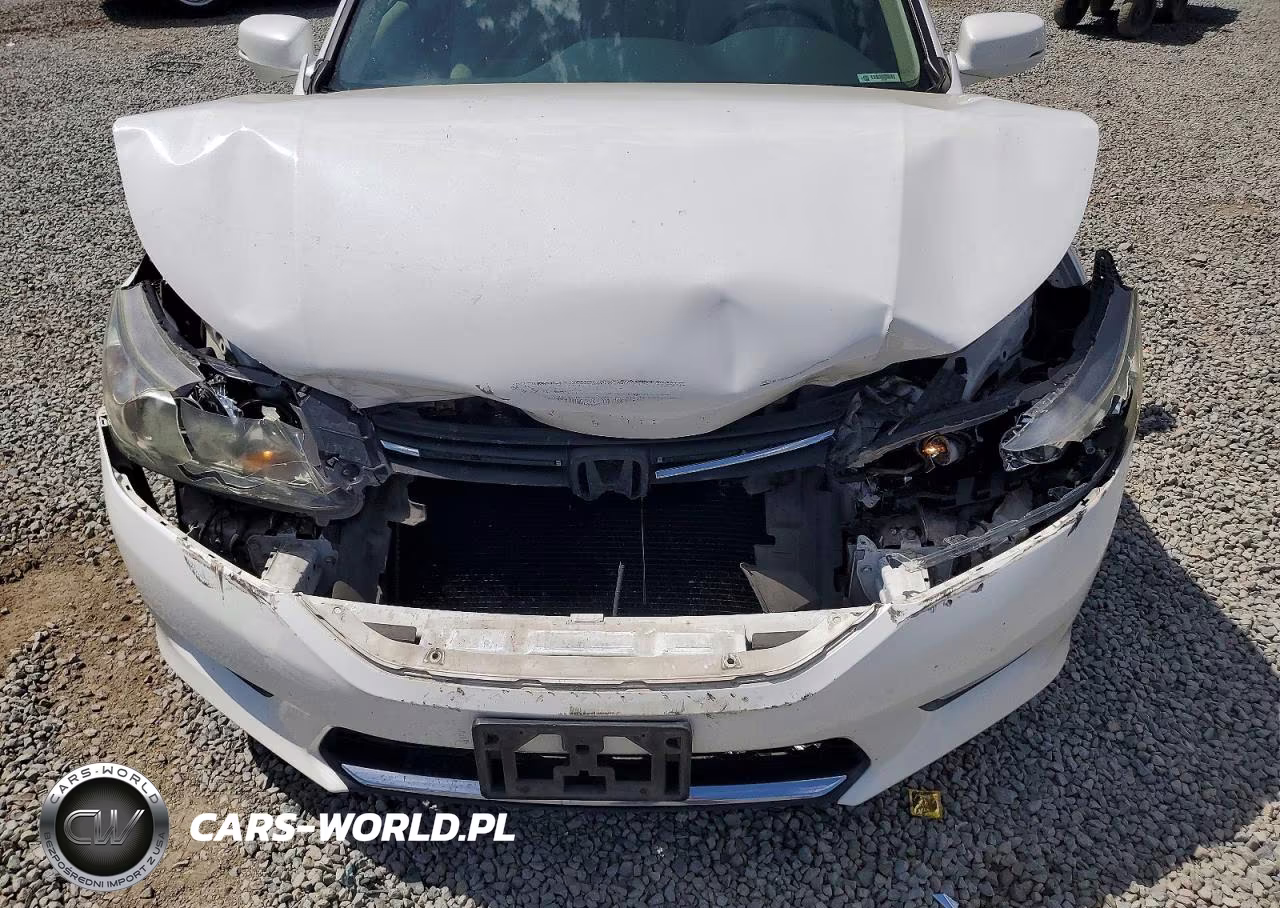 2014 Honda Accord Ex VIN:1HGCR2F75EA166116 - 11