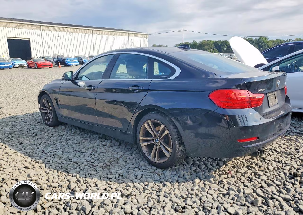 2017 BMW 430Xi Gran Coupe VIN:WBA4F9C35HG812100 - 2