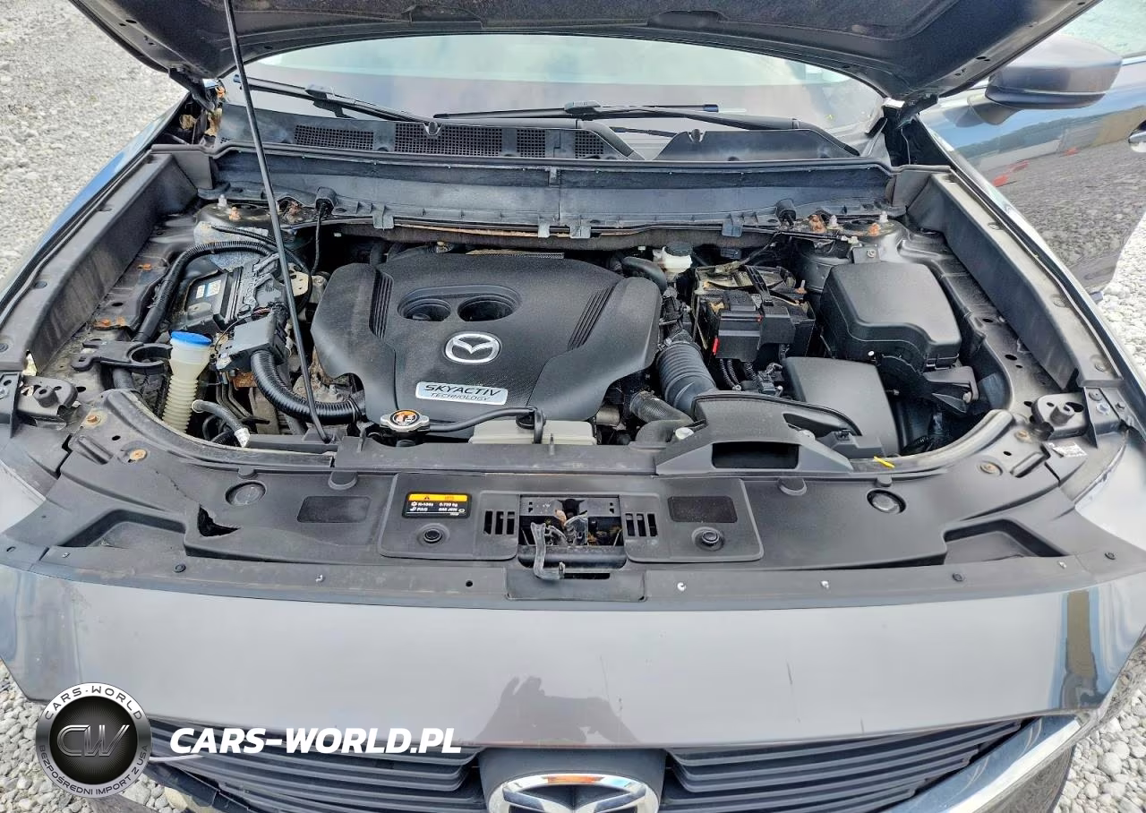 2017 Mazda Cx-9 Sport VIN:JM3TCBBY8H0137130 - 12
