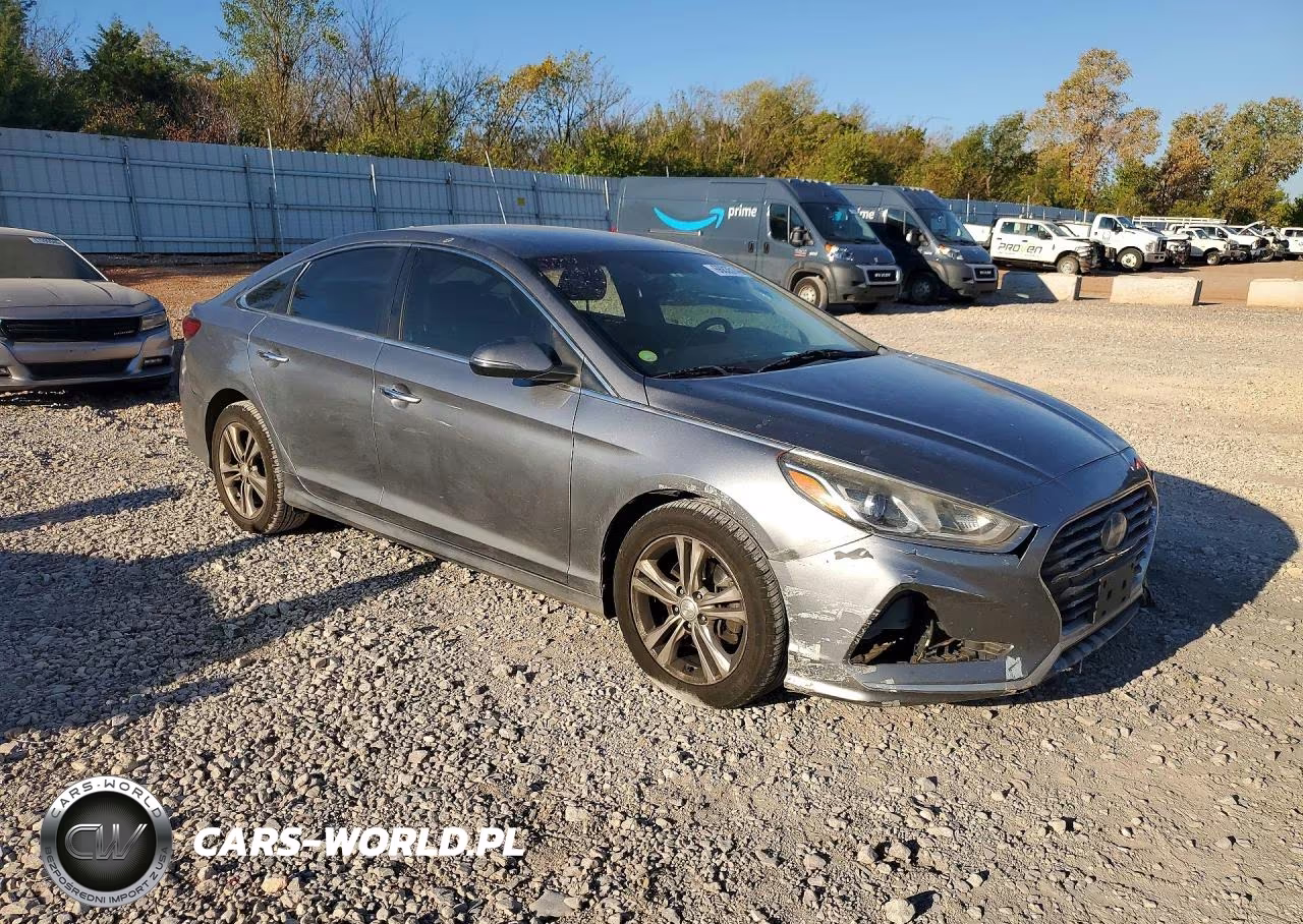 2018 Hyundai Sonata Sel VIN:5NPE34AF9JH659223 - 4