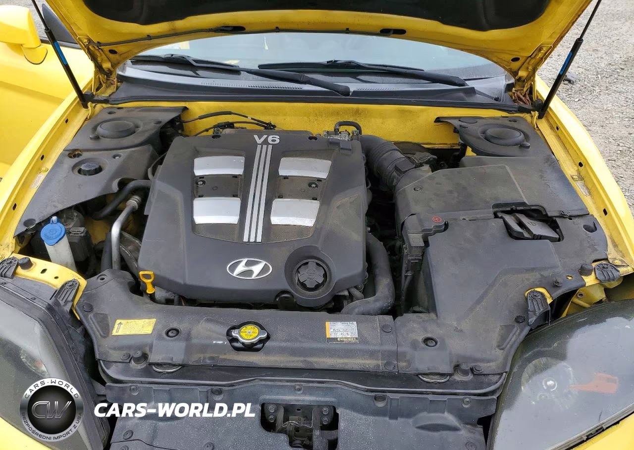2006 Hyundai Tiburon Gt VIN:KMHHN65F26U206812 - 11