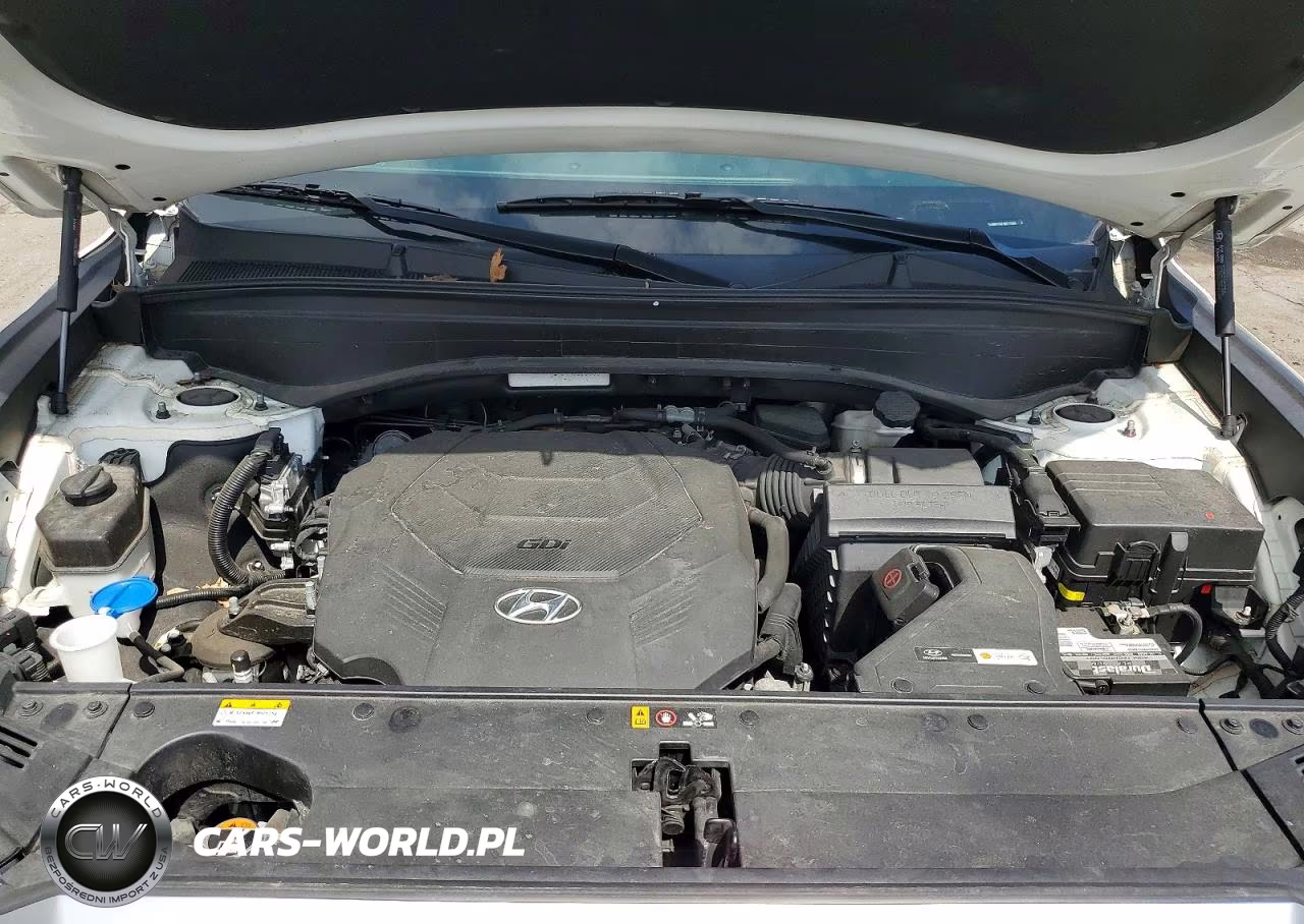 2021 Hyundai Palisade Se VIN:KM8R1DHE4MU210686 - 12