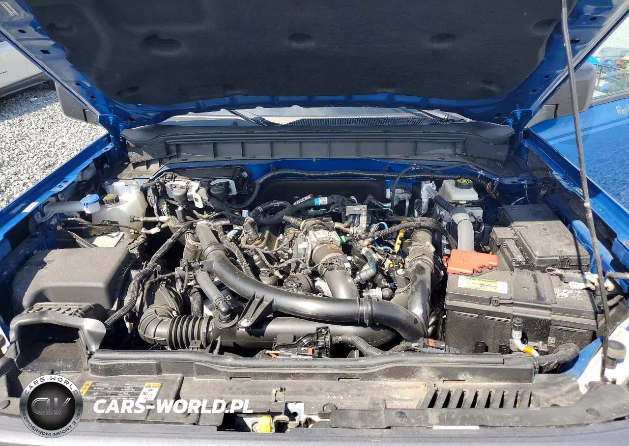 2024 Ford Bronco Badlands VIN:1FMDE9AP3RLA52863 - 12