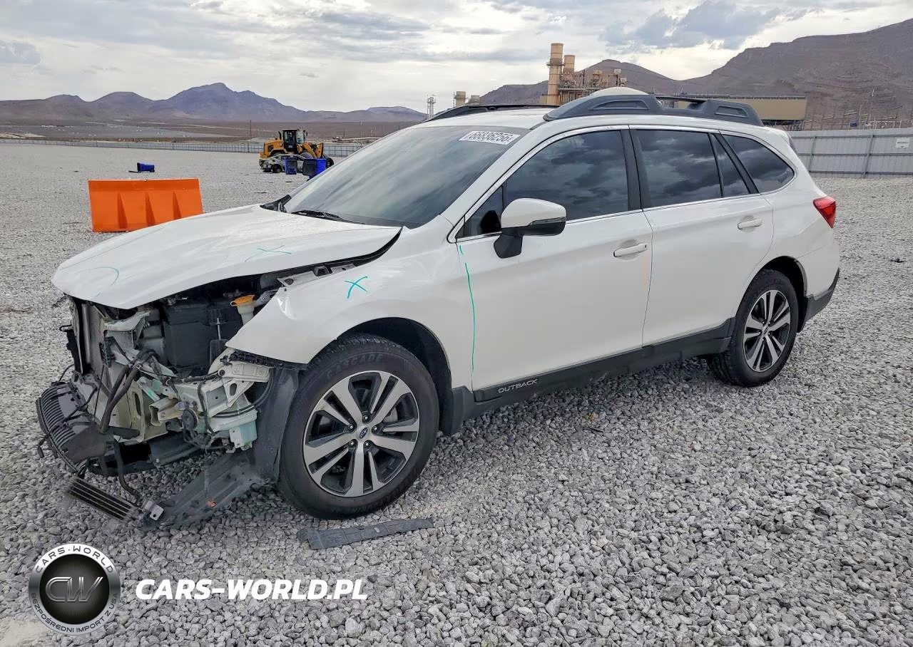 2019 Subaru Outback 3.6R Limited VIN:4S4BSENC2K3342016 - 1