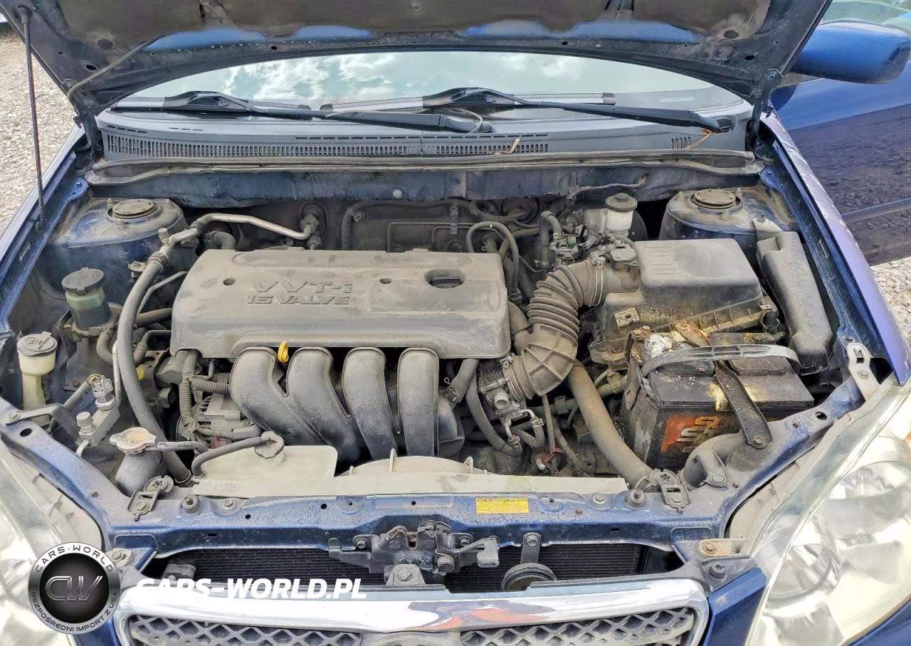 2005 Toyota Corolla Le VIN:JTDBR32E852065473 - 11