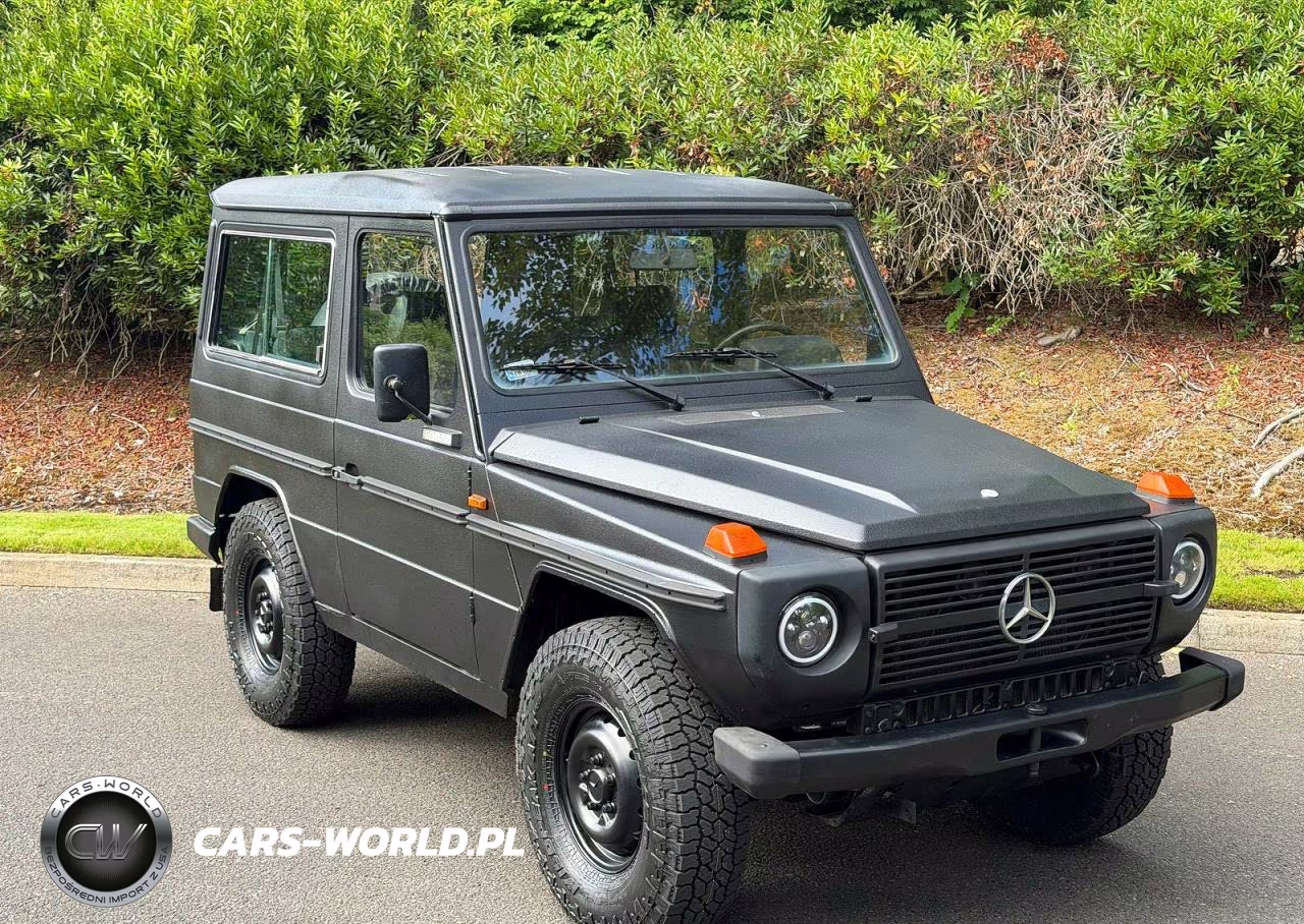 1994 Mercedes-Benz 290 290 Gd Wolf, 5-Speed