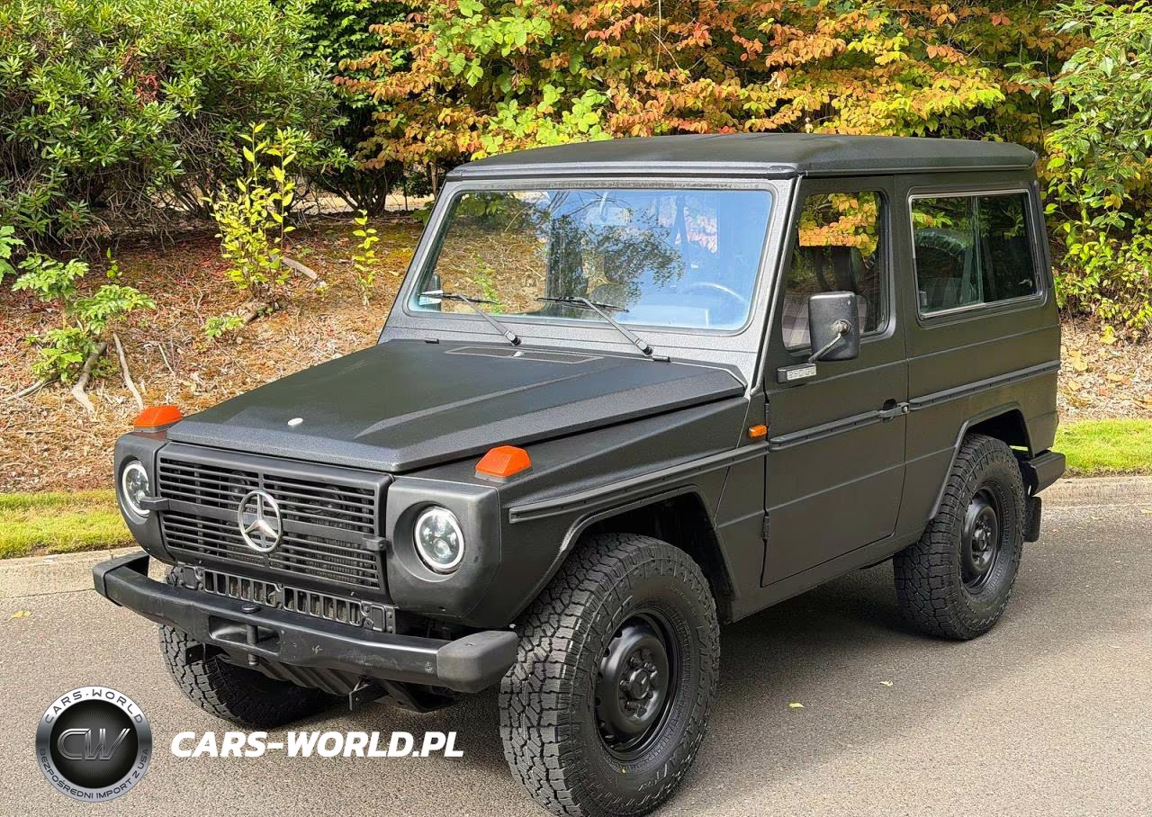 1994 Mercedes-Benz 290 290 Gd Wolf, 5-Speed VIN:WDB46133717097198 - 2