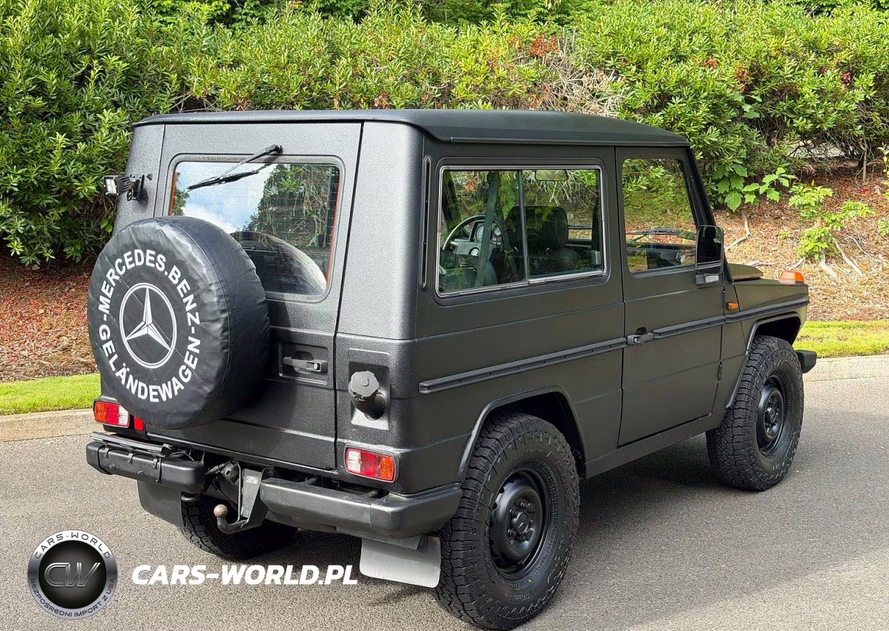 1994 Mercedes-Benz 290 290 Gd Wolf, 5-Speed VIN:WDB46133717097198 - 4