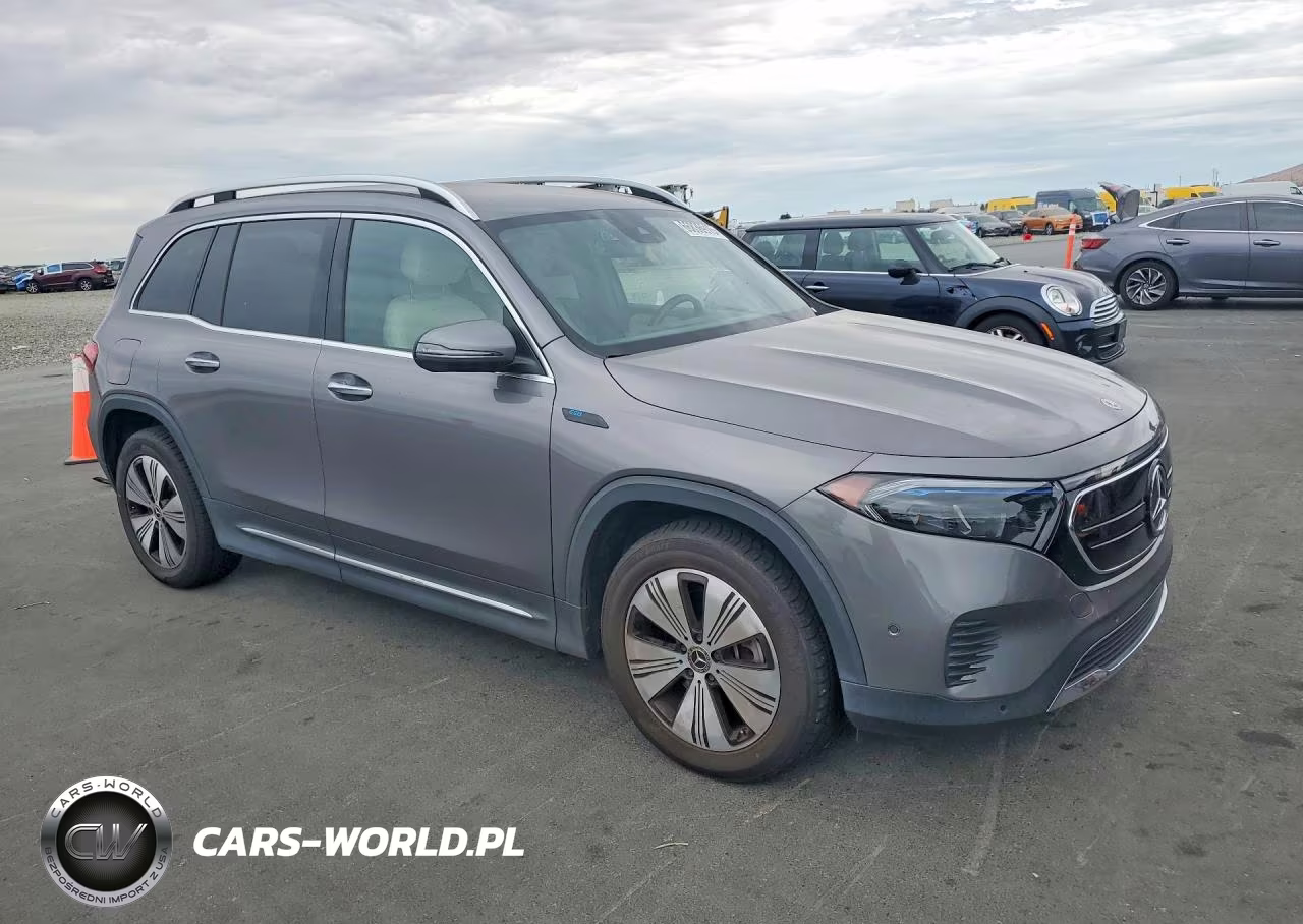 2023 Mercedes-Benz Eqb 250+ VIN:W1N9M0CB8PN024397 - 4