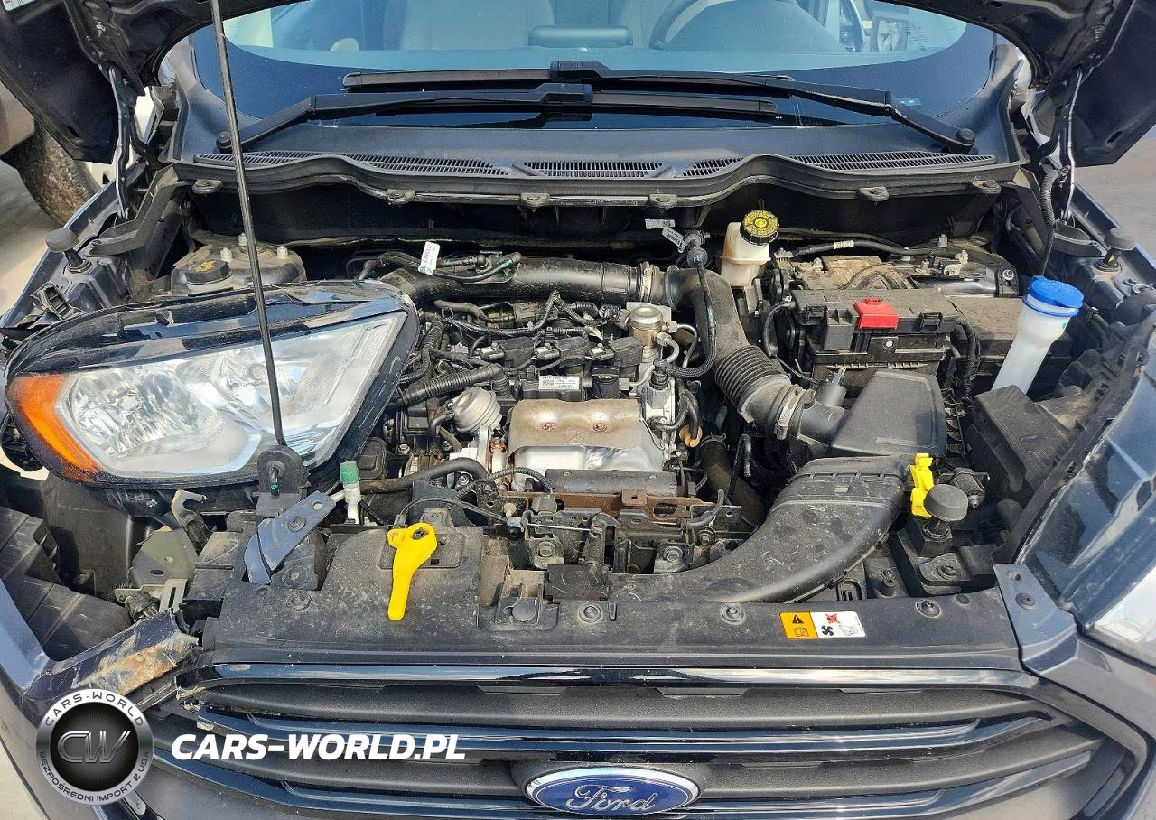 2021 Ford Ecosport S VIN:MAJ3S2FE5MC439856 - 12