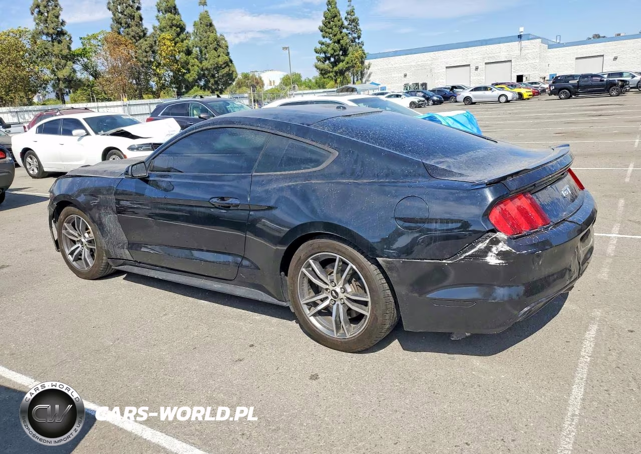 2018 Ford Mustang Gt VIN:1FA6P8CF4J5138185 - 2