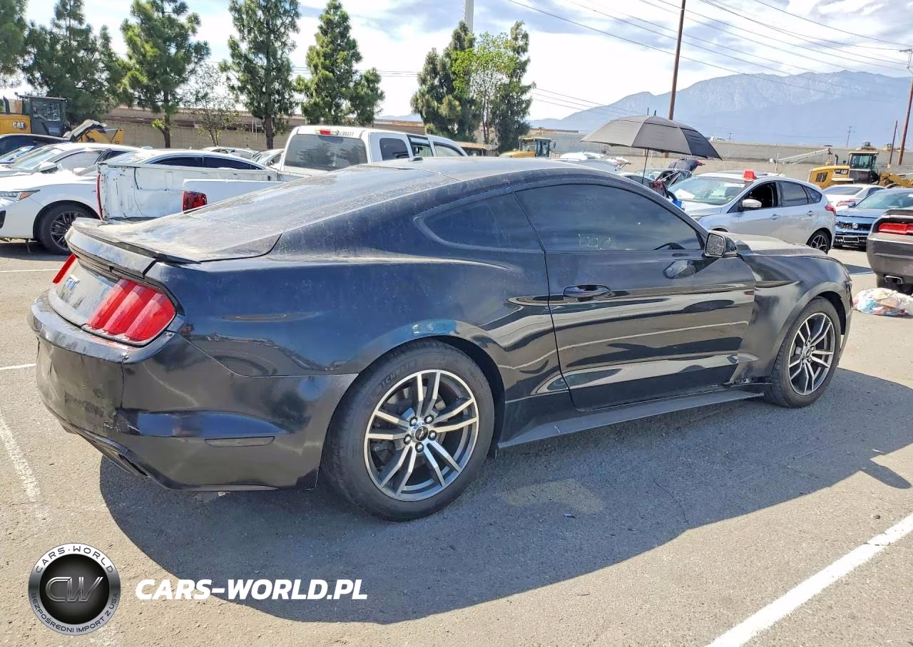2018 Ford Mustang Gt VIN:1FA6P8CF4J5138185 - 3