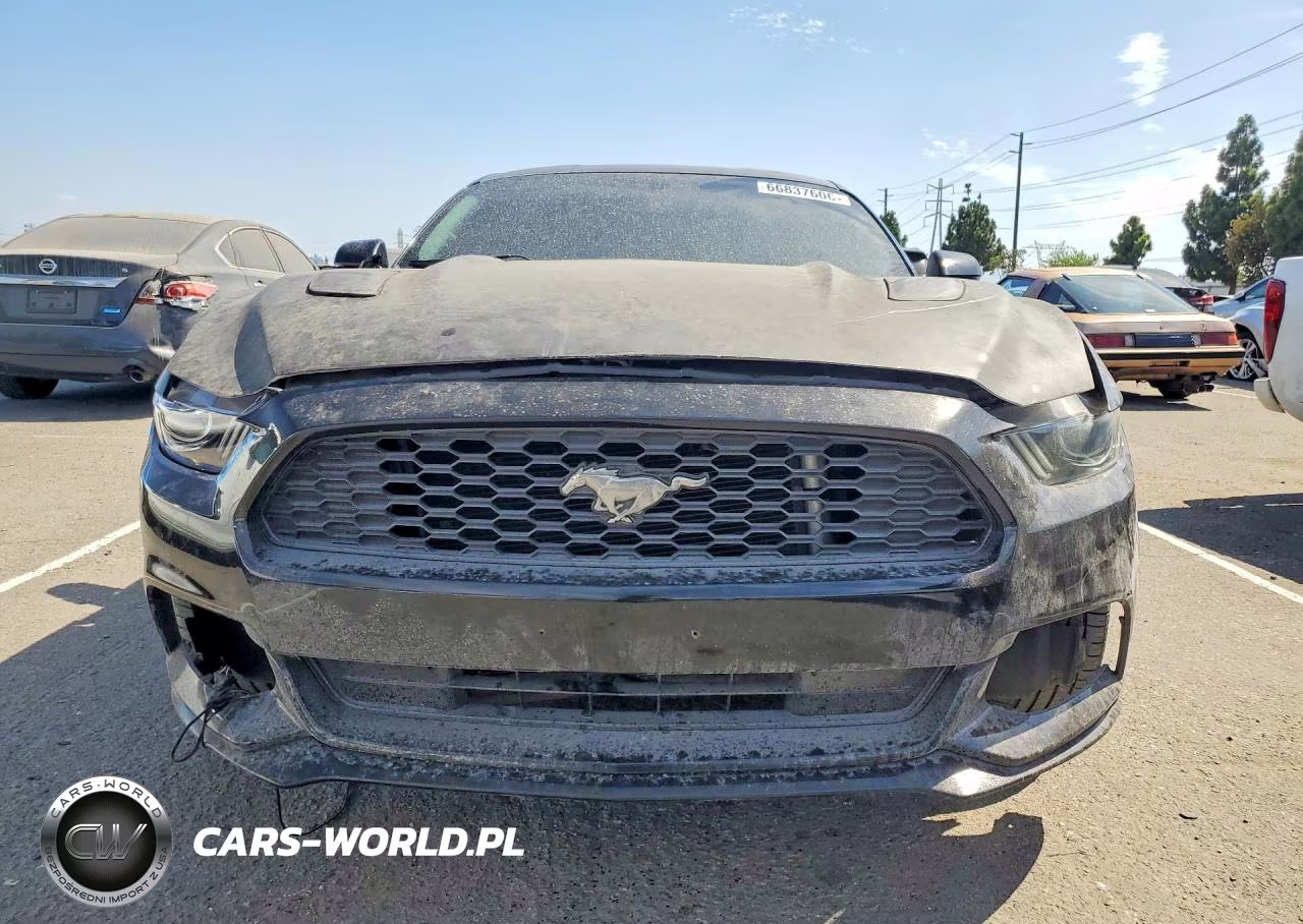2018 Ford Mustang Gt VIN:1FA6P8CF4J5138185 - 5
