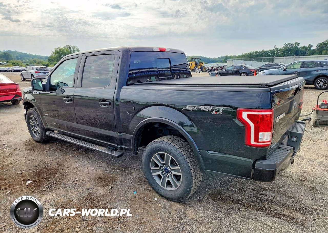 2016 Ford F150 Supercrew VIN:1FTEW1EG5GKF69795 - 2