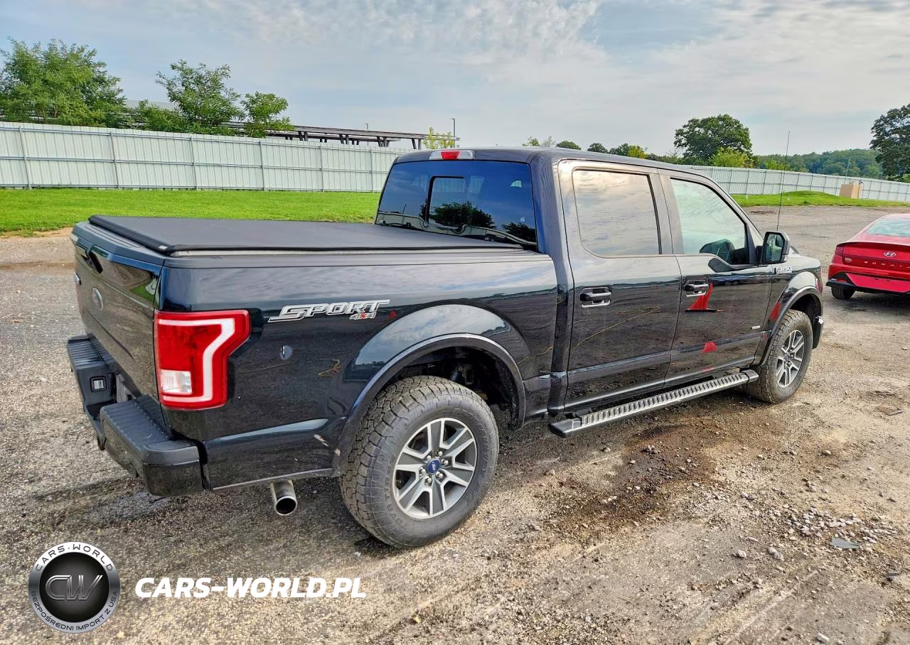 2016 Ford F150 Supercrew VIN:1FTEW1EG5GKF69795 - 3