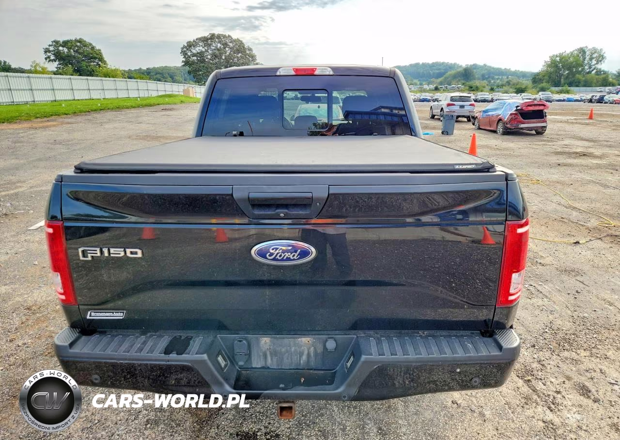2016 Ford F150 Supercrew VIN:1FTEW1EG5GKF69795 - 6