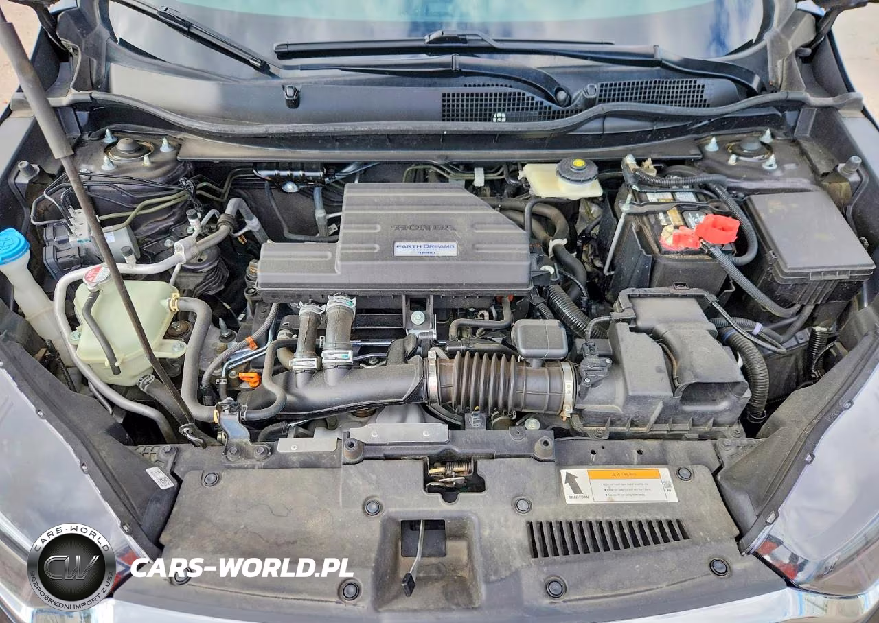 2019 Honda Cr-V Exl VIN:5J6RW2H8XKA016533 - 12