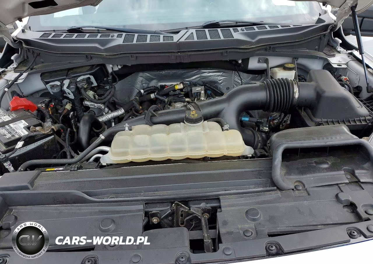 2021 Ford F150 Supercrew VIN:1FTEW1EP3MFA34100 - 11