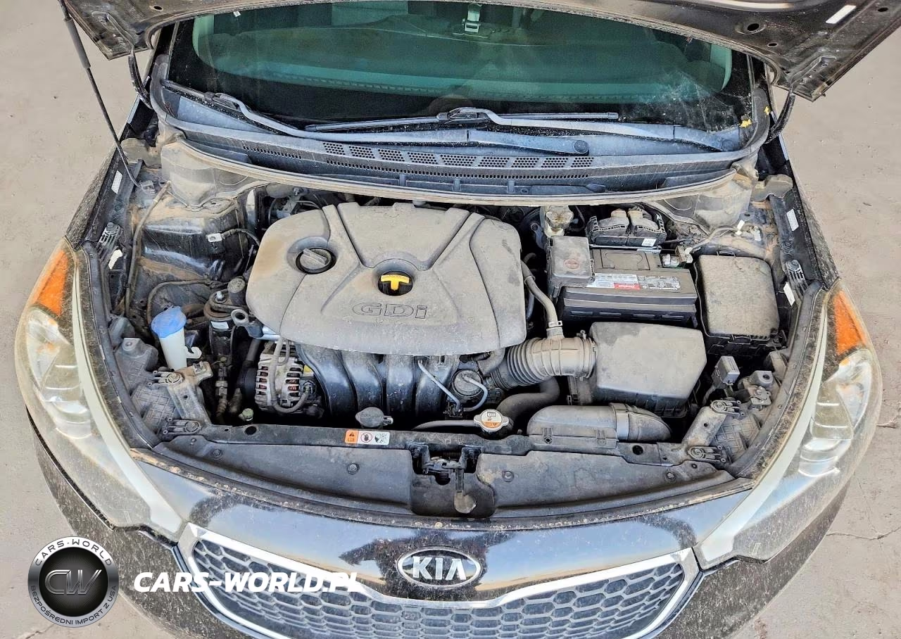 2016 Kia Forte5 Lx VIN:KNAFK5A89G5651501 - 11
