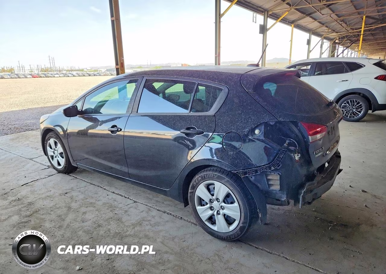 2016 Kia Forte5 Lx VIN:KNAFK5A89G5651501 - 2