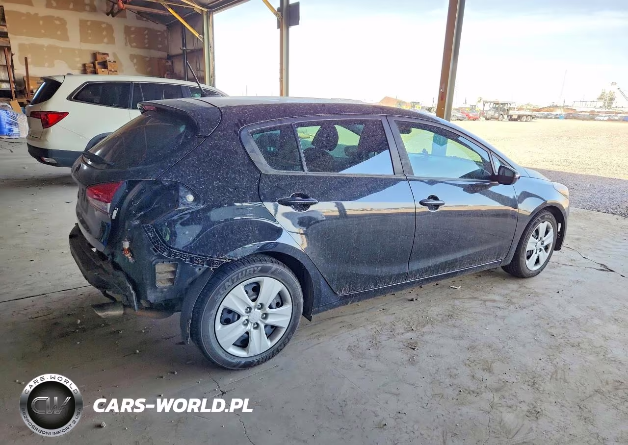 2016 Kia Forte5 Lx VIN:KNAFK5A89G5651501 - 3