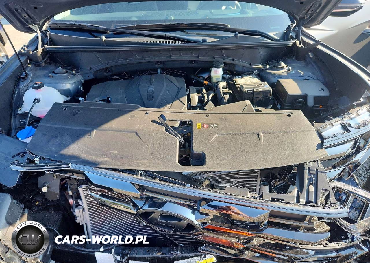 2025 Hyundai Tucson Limited VIN:5NMJE3DE4SH603730 - 12