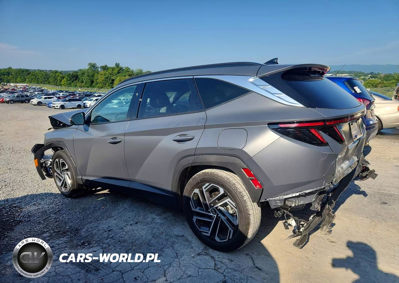 2025 Hyundai Tucson Limited VIN:5NMJE3DE4SH603730 - 2