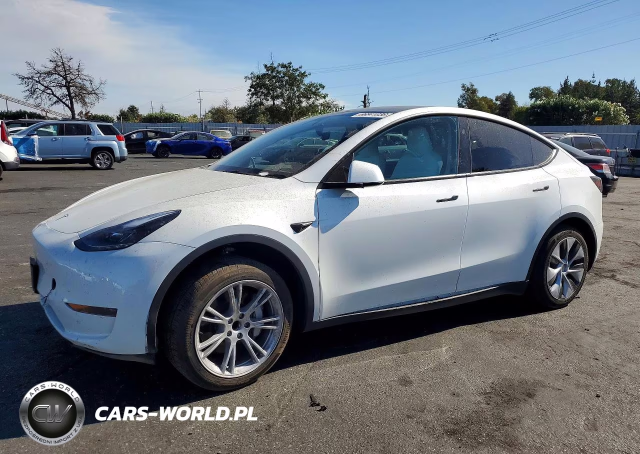 2024 Tesla Model Y VIN:7SAYGDED0RF033308 - 1