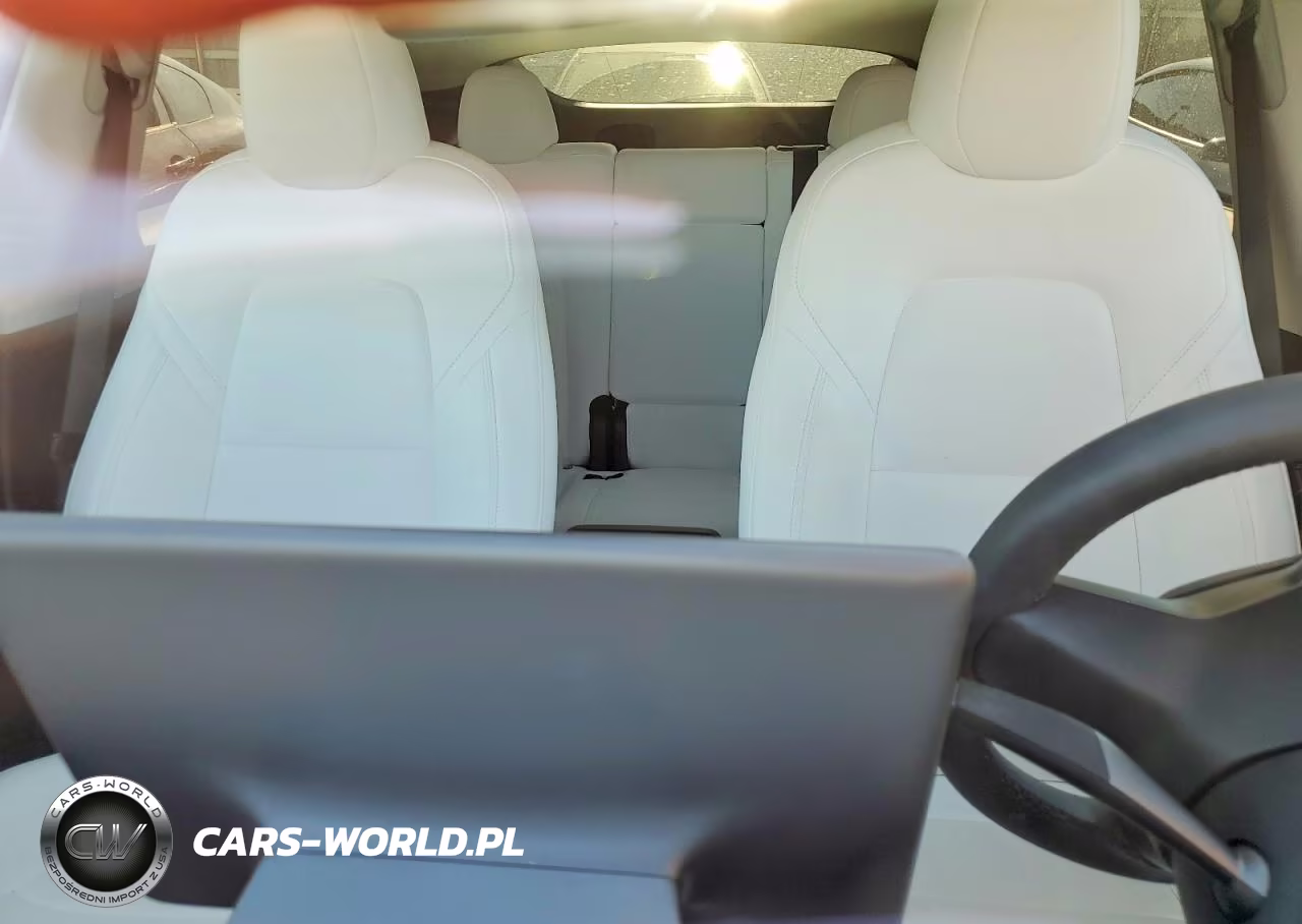 2024 Tesla Model Y VIN:7SAYGDED0RF033308 - 10