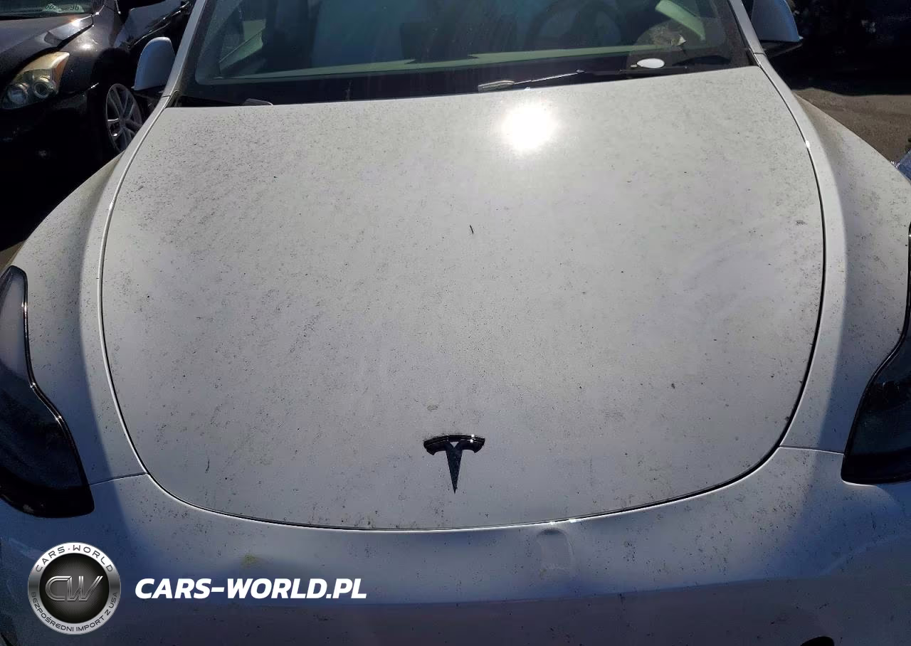2024 Tesla Model Y VIN:7SAYGDED0RF033308 - 12