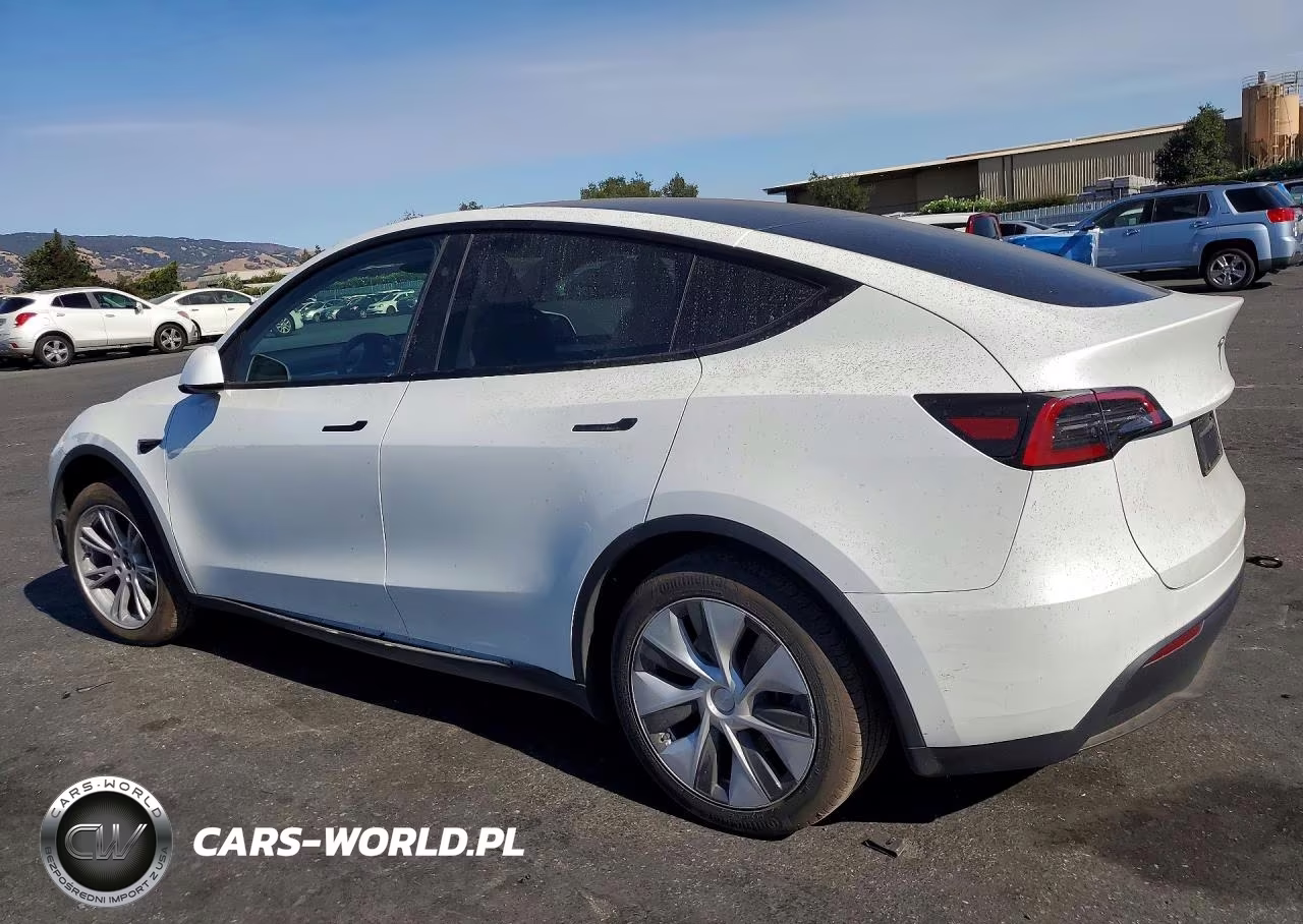 2024 Tesla Model Y VIN:7SAYGDED0RF033308 - 2