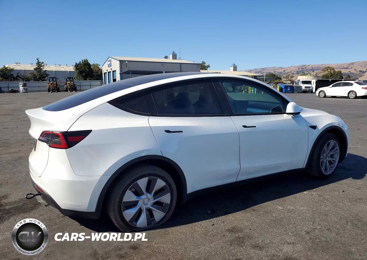 2024 Tesla Model Y VIN:7SAYGDED0RF033308 - 3