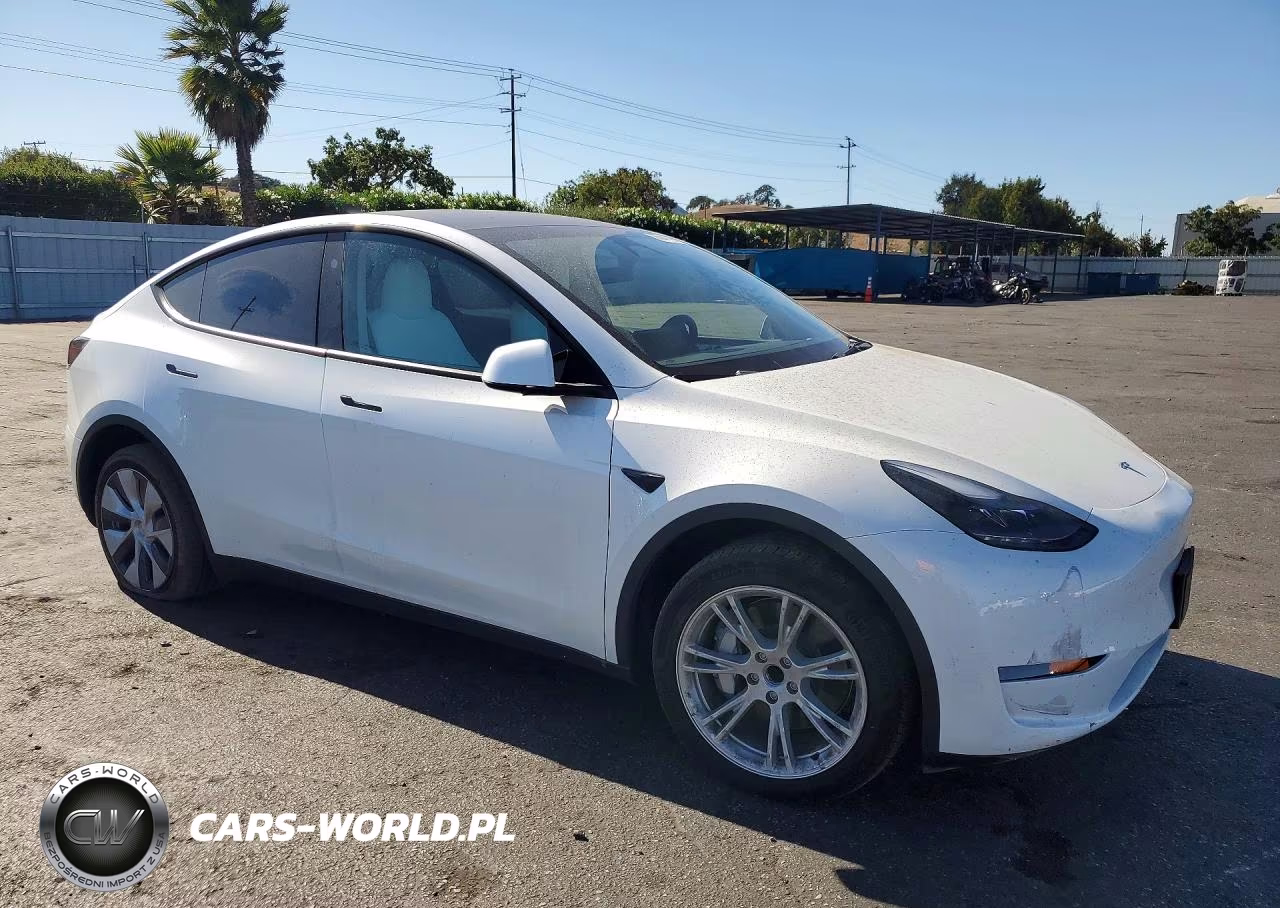 2024 Tesla Model Y VIN:7SAYGDED0RF033308 - 4