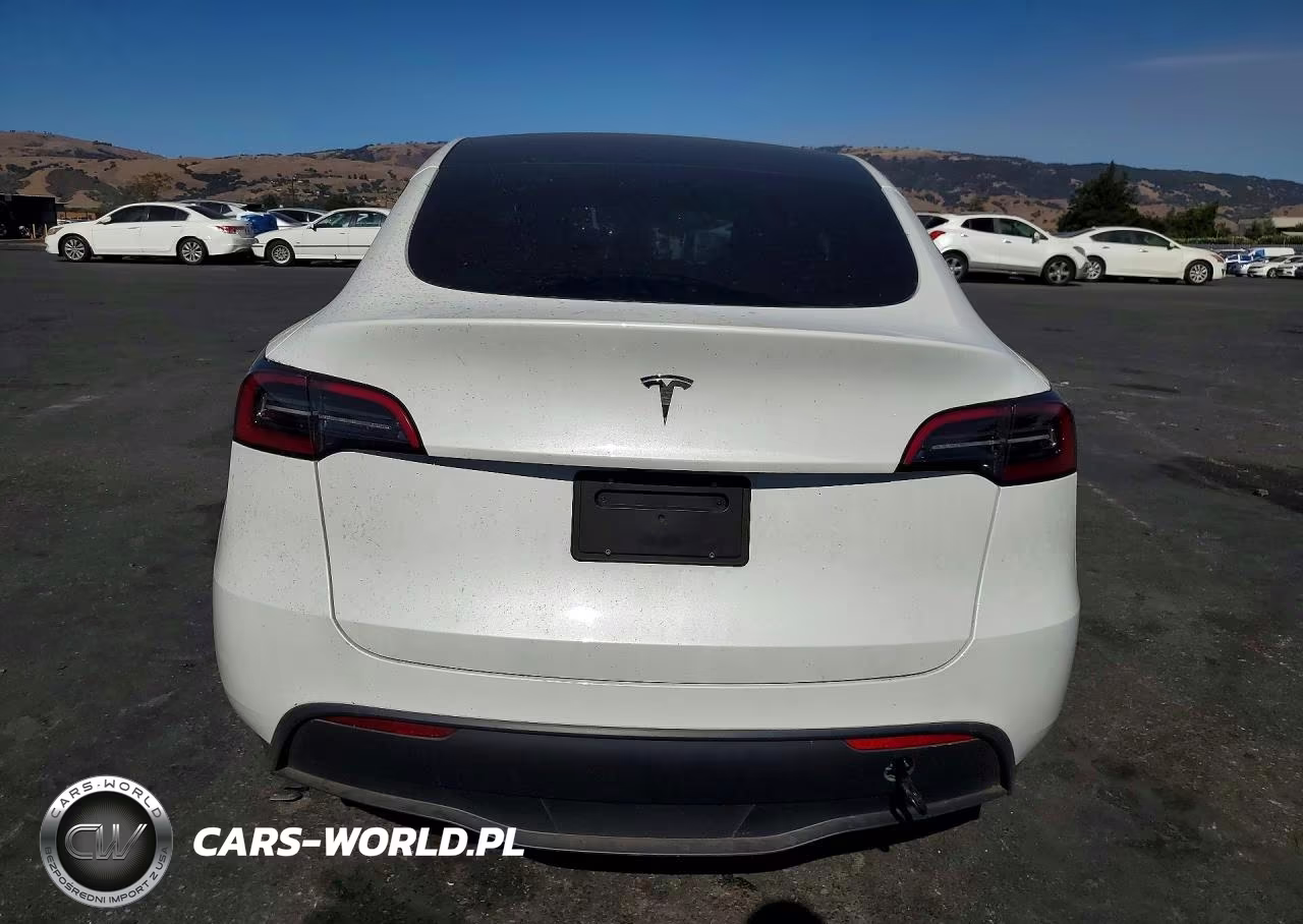 2024 Tesla Model Y VIN:7SAYGDED0RF033308 - 6