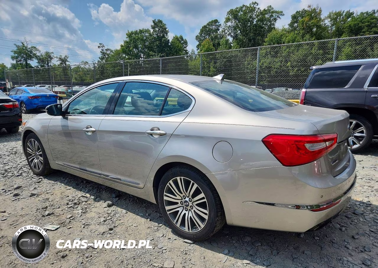 2014 Kia Cadenza Premium VIN:KNALN4D7XE5144918 - 2