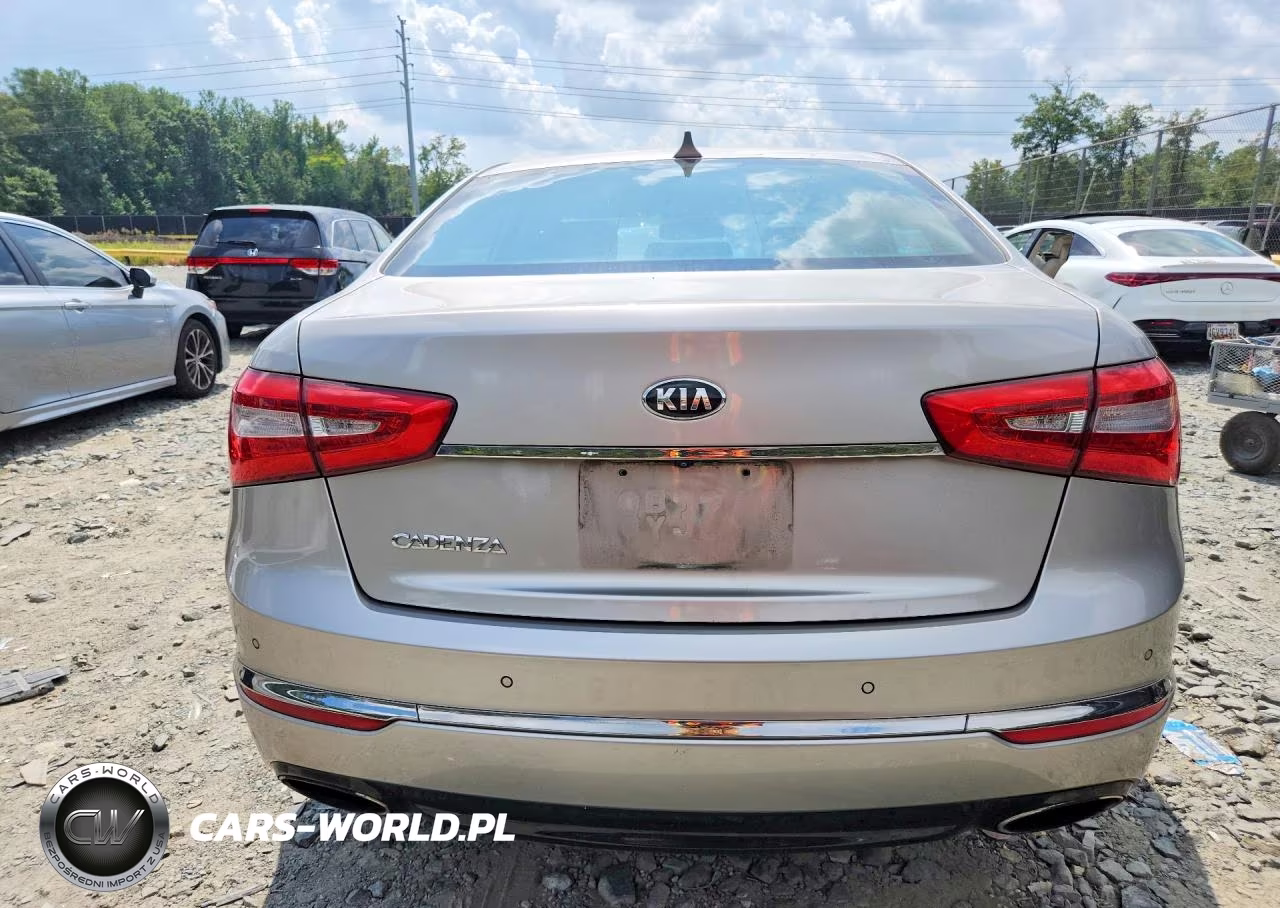 2014 Kia Cadenza Premium VIN:KNALN4D7XE5144918 - 6