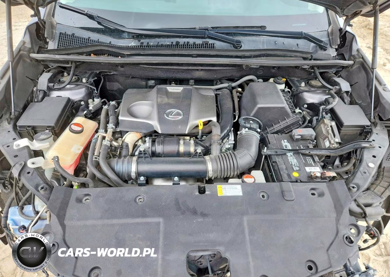 2016 Lexus Nx 200T Base VIN:JTJYARBZ4G2023793 - 12