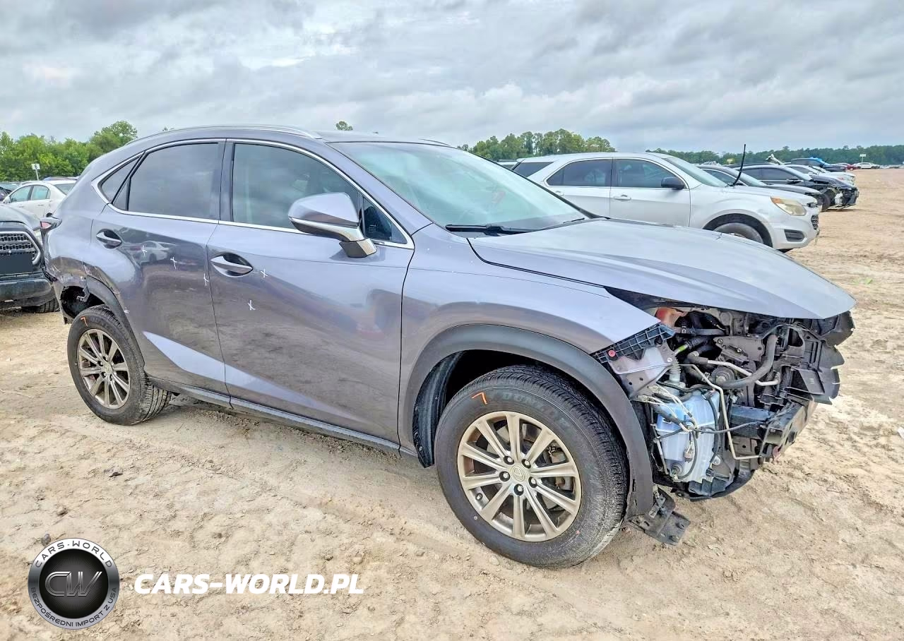 2016 Lexus Nx 200T Base VIN:JTJYARBZ4G2023793 - 4