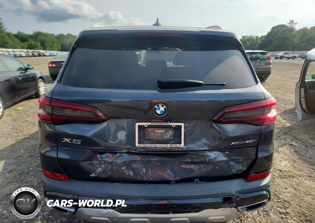 2020 BMW X5 xDrive40I VIN:5UXCR6C01L9C55131 - 6