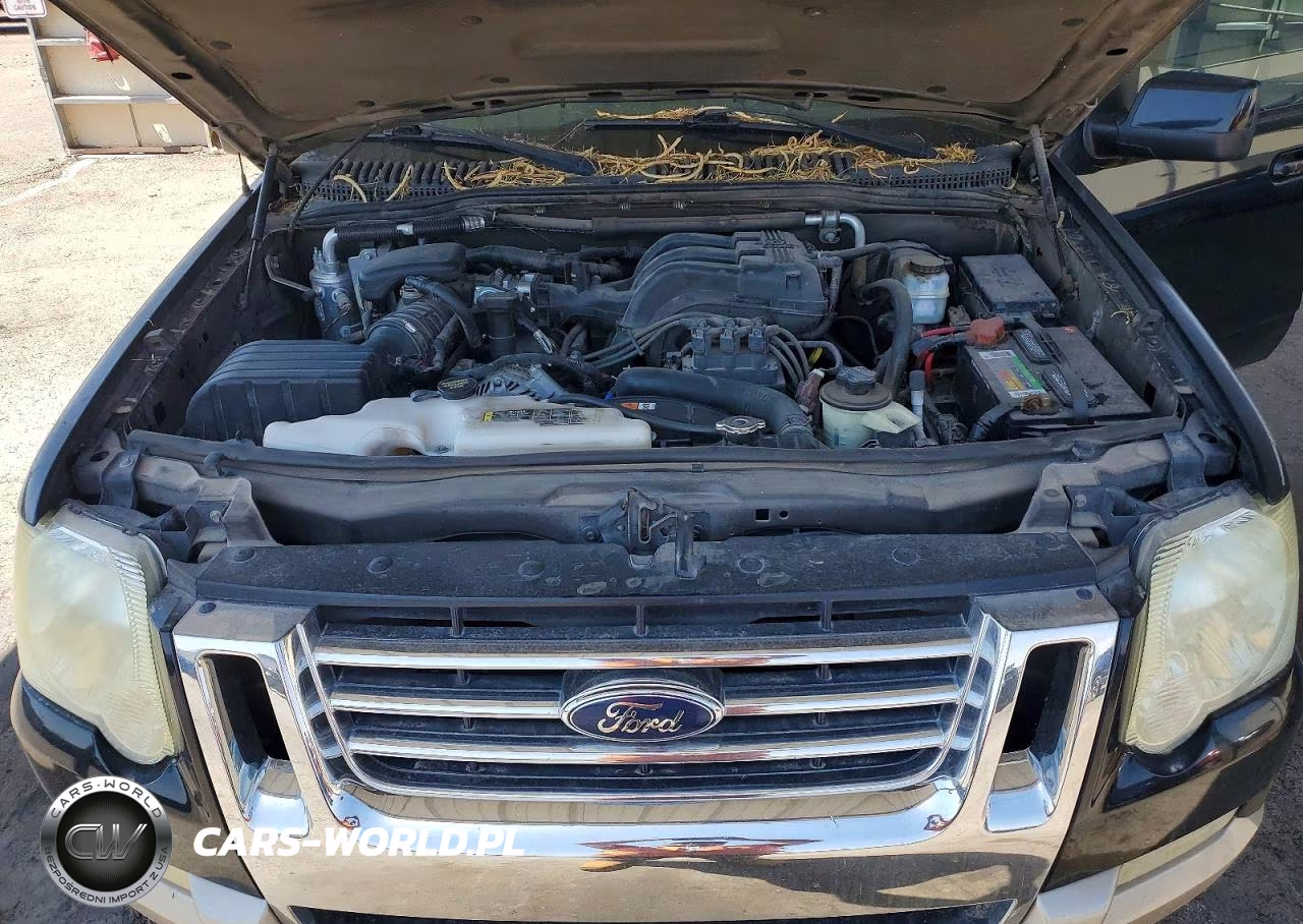 2010 Ford Explorer Eddie Bauer VIN:1FMEU6EE4AUA05032 - 12