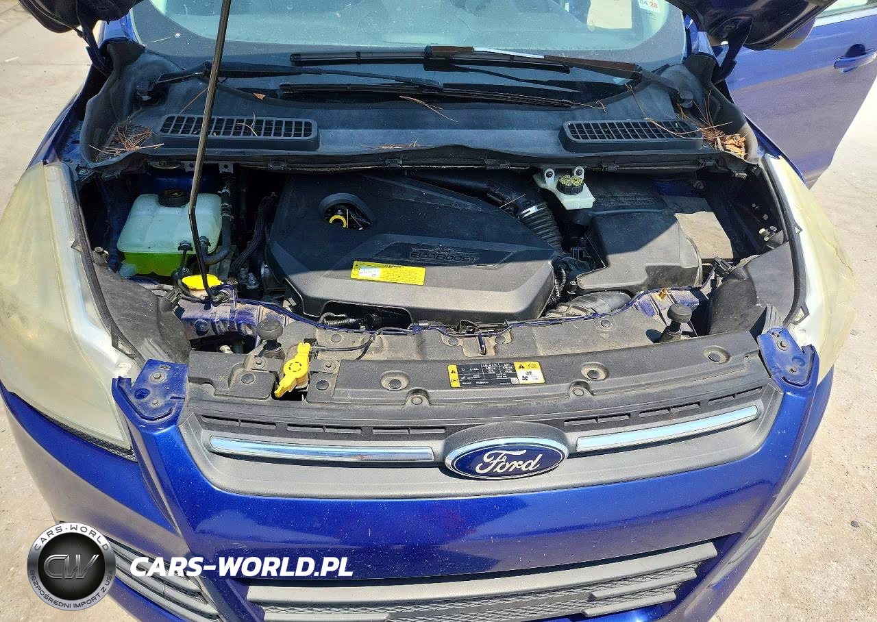 2014 Ford Escape Se VIN:1FMCU0GX6EUA70070 - 12