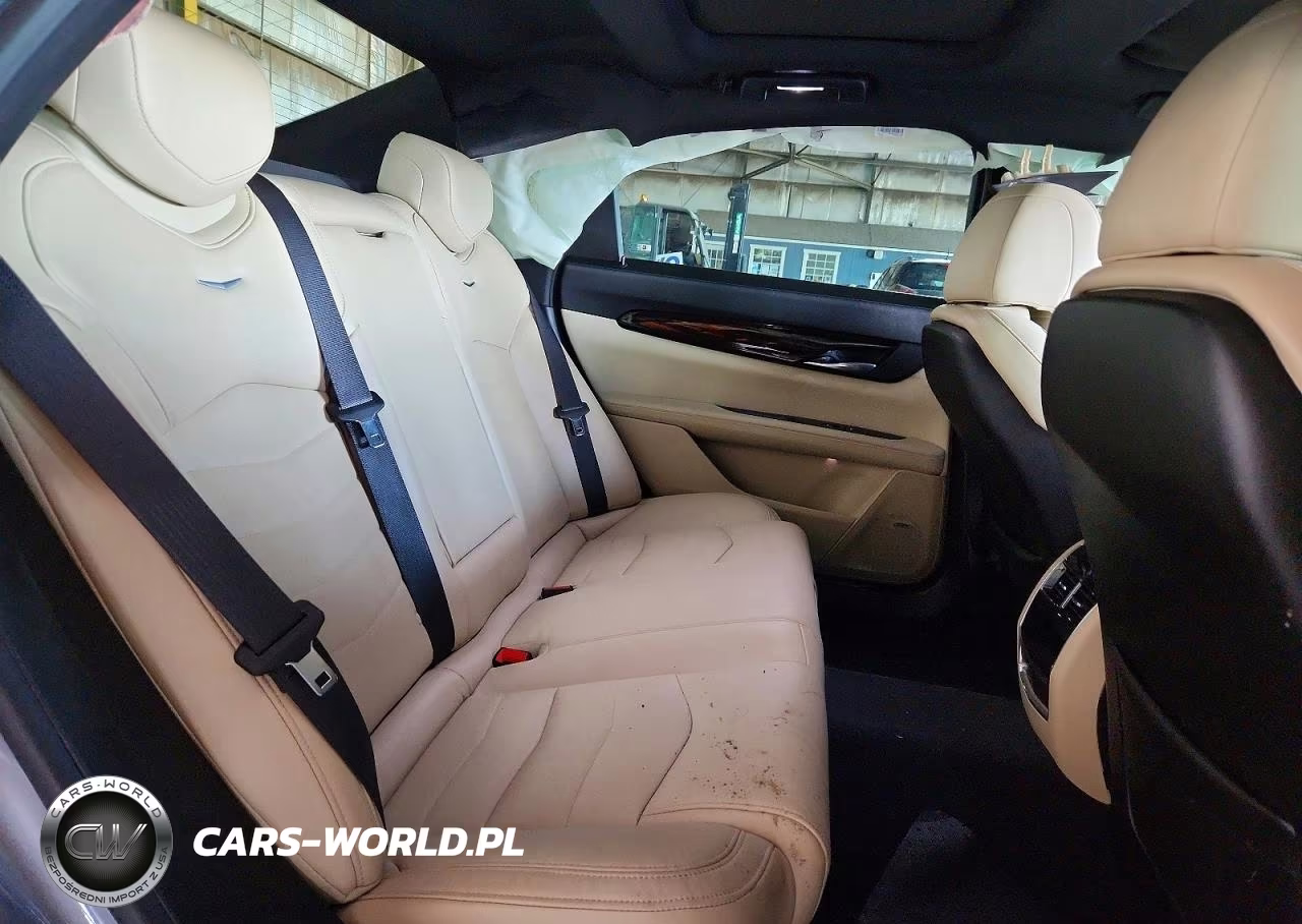 2019 Cadillac Ct6 Luxury VIN:1G6KB5RS7KU120509 - 10