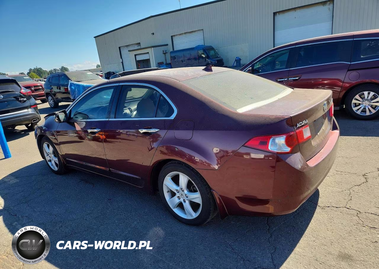 2009 Acura Tsx VIN:JH4CU26699C031587 - 2