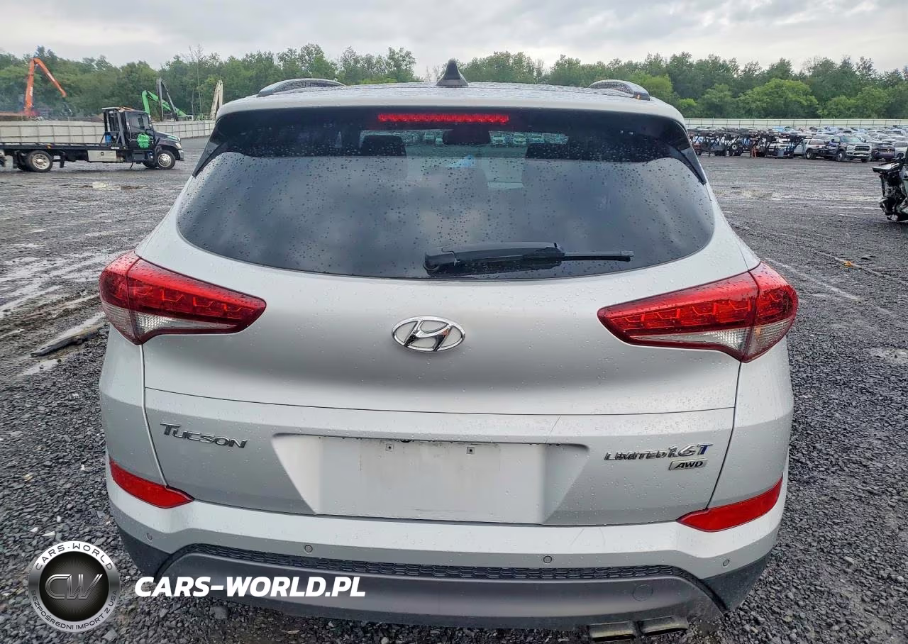 2016 Hyundai Tucson Limited VIN:KM8J3CA28GU069353 - 6