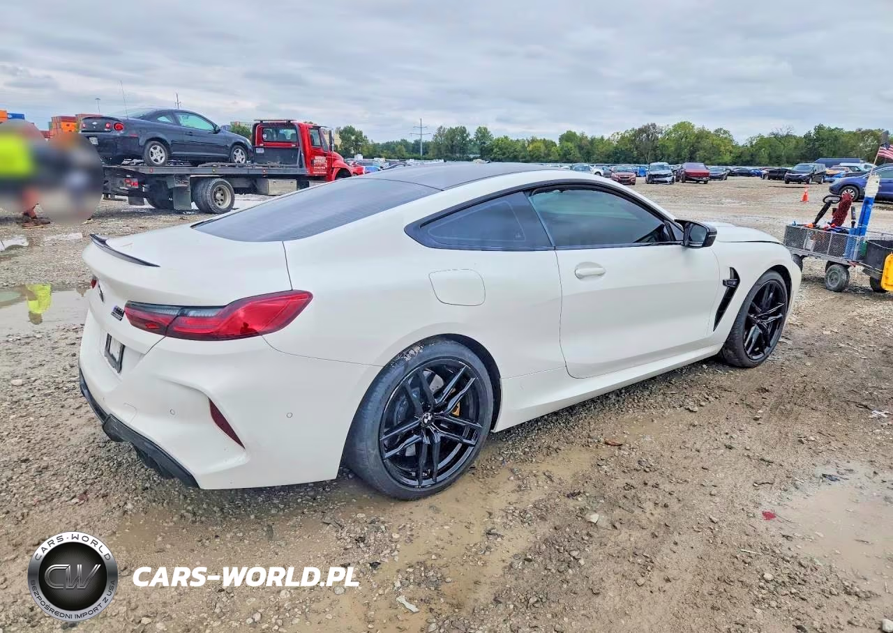 2020 BMW M8 VIN:WBSAE0C08LCD91284 - 3