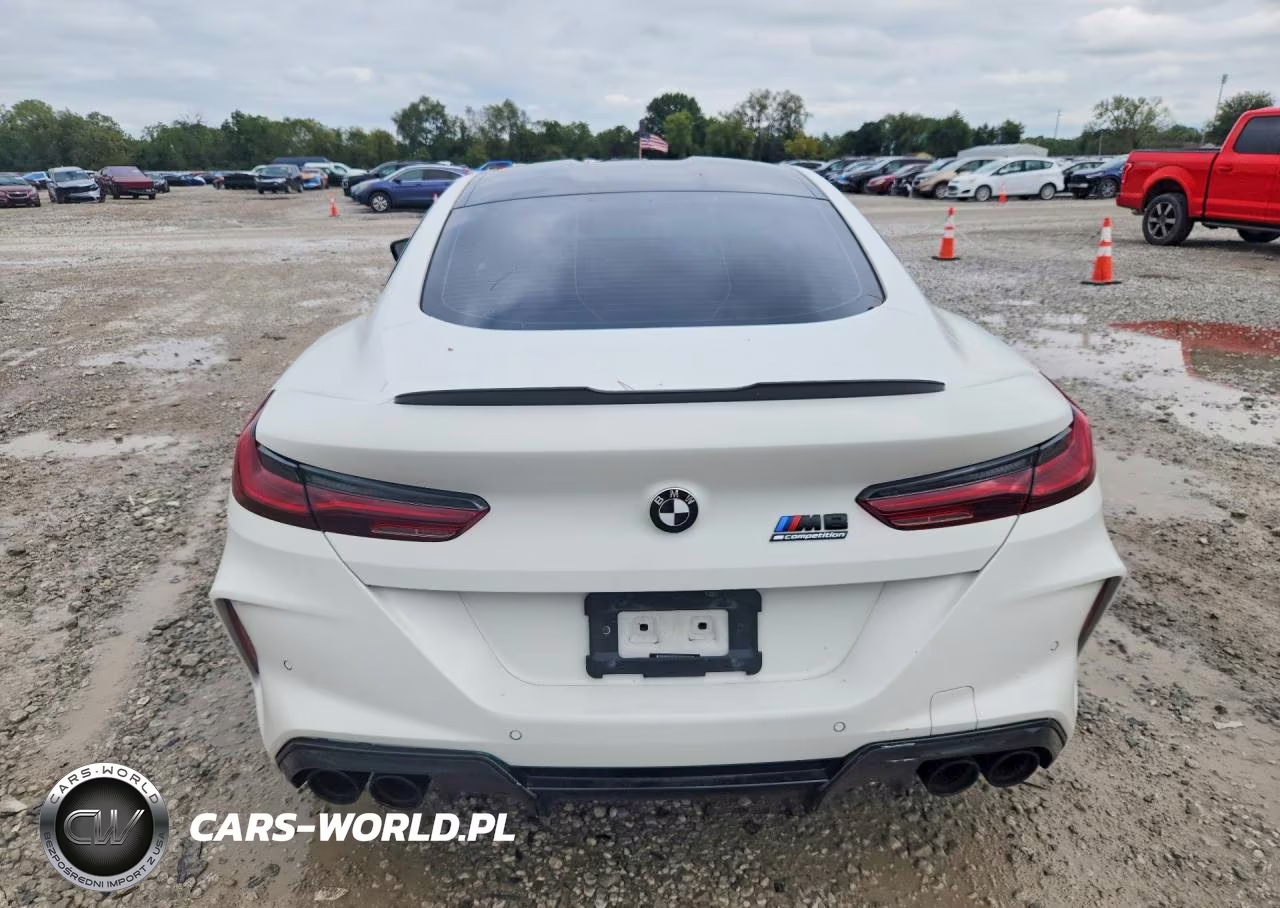 2020 BMW M8 VIN:WBSAE0C08LCD91284 - 6