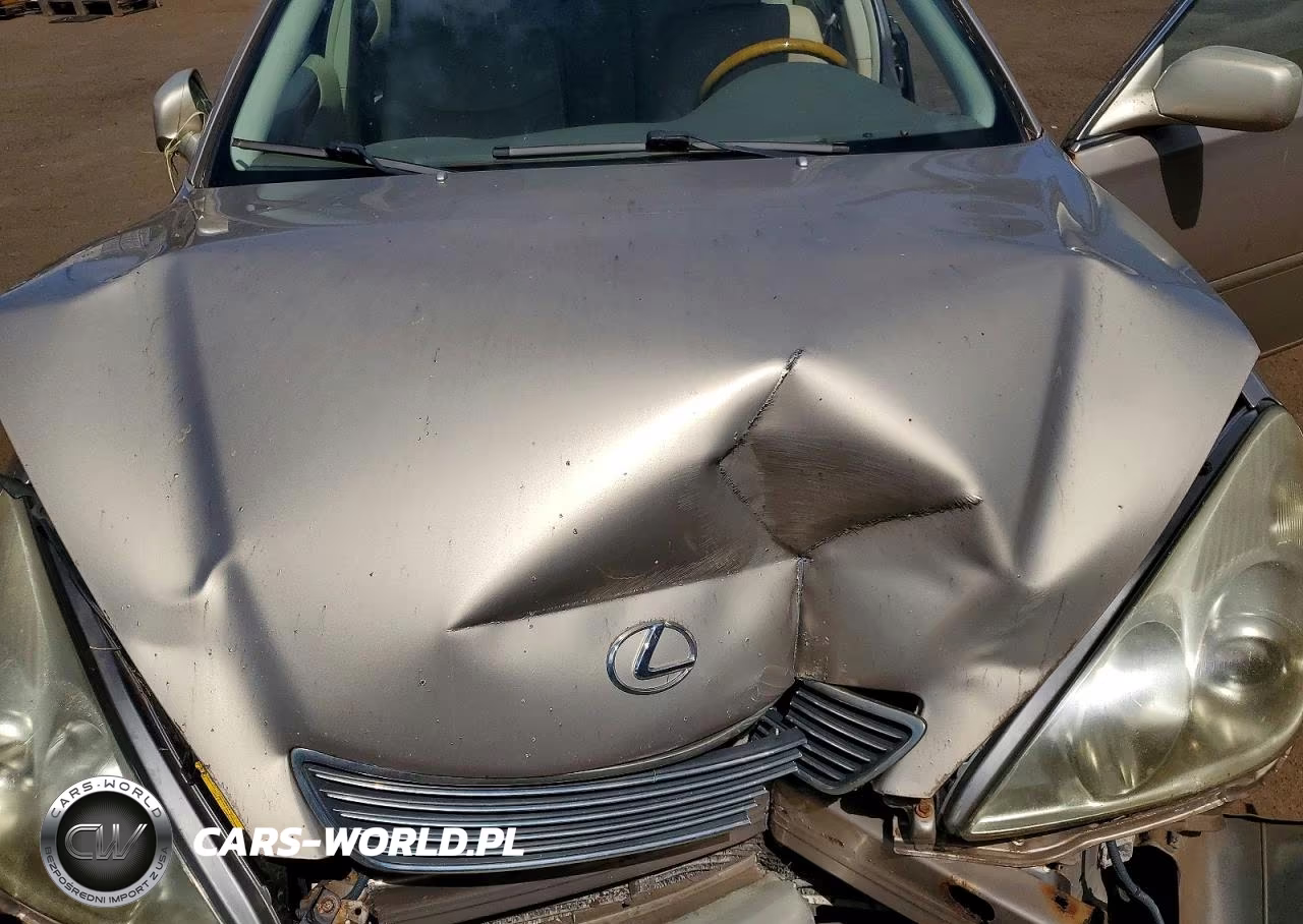 2006 Lexus Es 330 VIN:JTHBA30G465168612 - 11